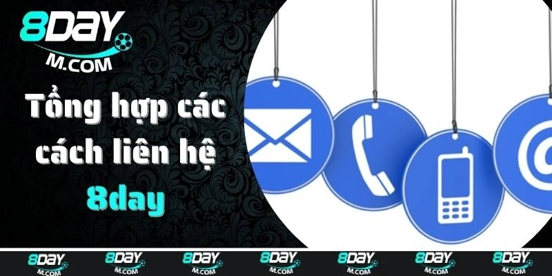 Tổng hợp các cách liên hệ 8day đơn giản