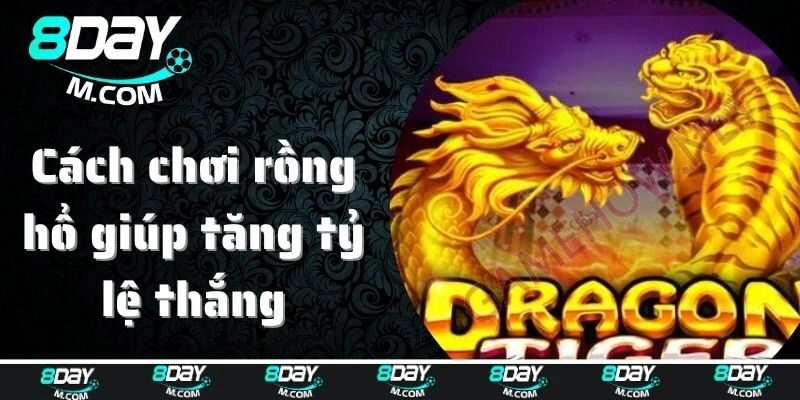 Cách chơi rồng hổ các cao thủ mách giúp tăng tỷ lệ thắng