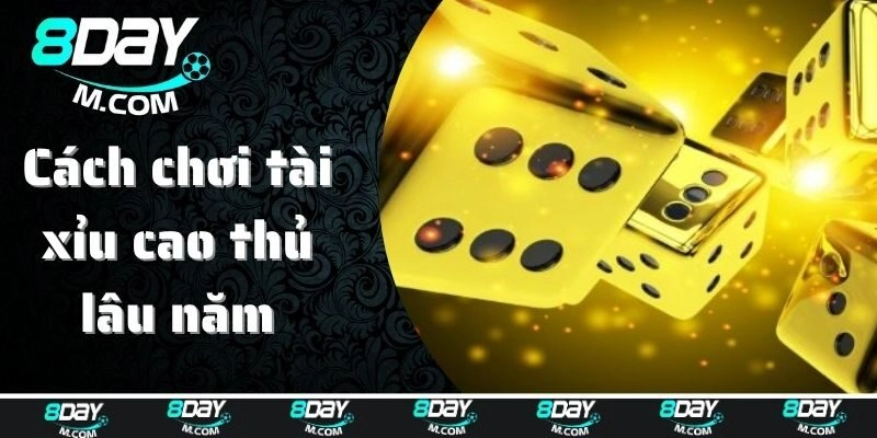 Cách chơi tài xỉu từ kinh nghiệm của cao thủ lâu năm
