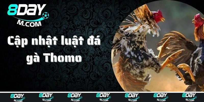 Thời gian thi đấu