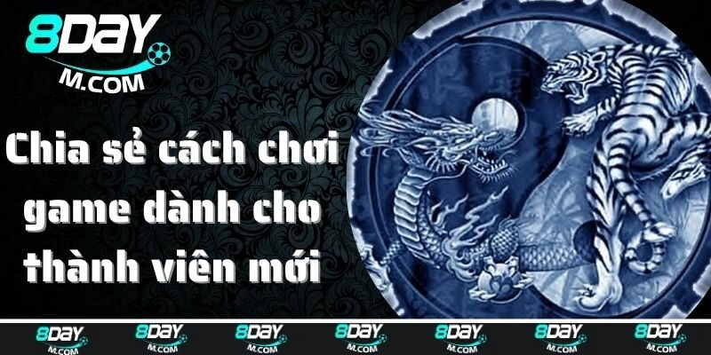 Chi tiết về các cửa cược