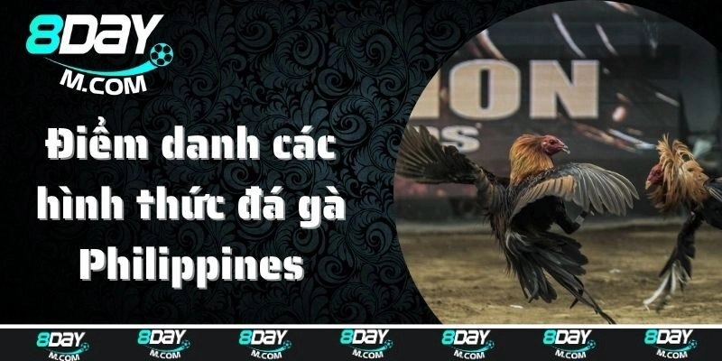 Điểm danh các hình thức đá gà Philippines phổ biến nhất